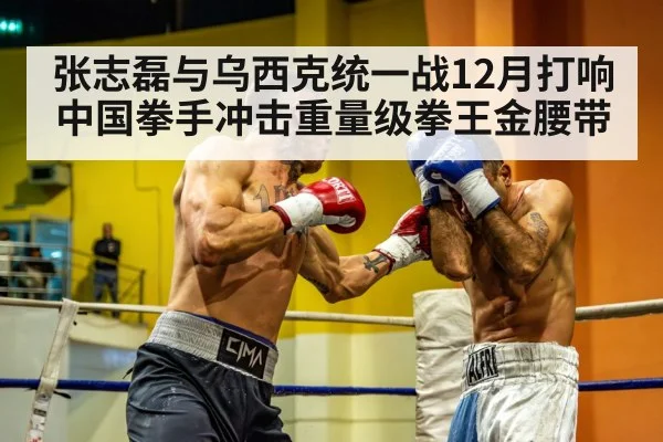 张志磊与乌西克统一战12月打响 中国拳手冲击重量级拳王金腰带